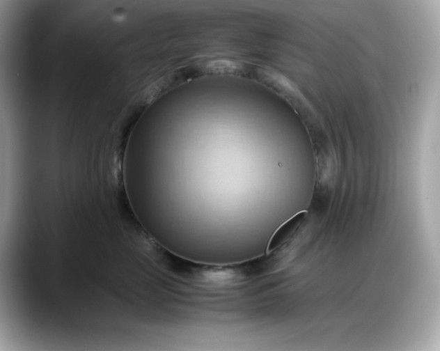 X0000088370669200706051042