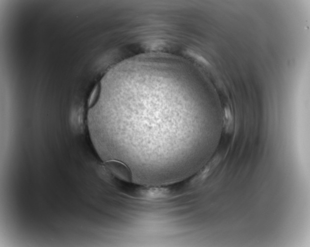 X0000088370670200706051042