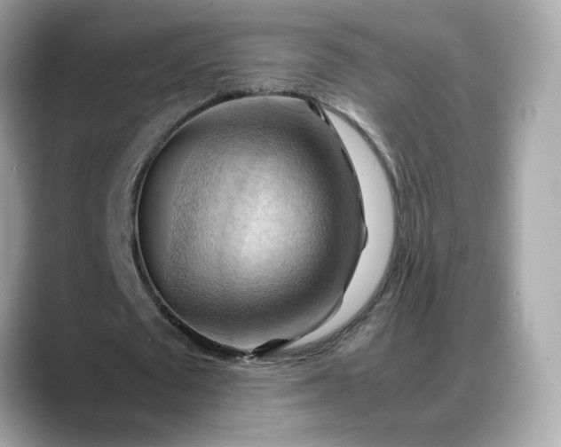 X0000088370673200706051042