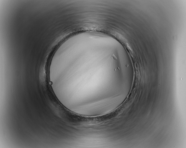 X0000088370674200706051042