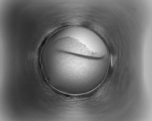 X0000088370675200706051042