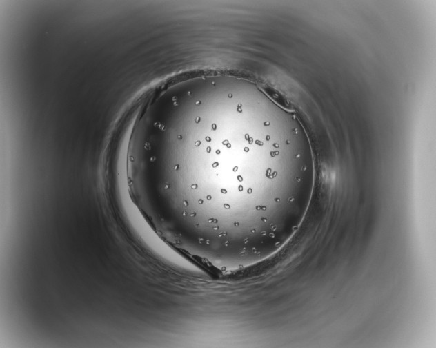 X0000088370676200706051042