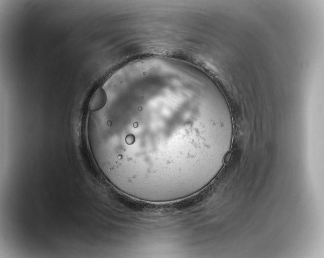 X0000088370679200706051042