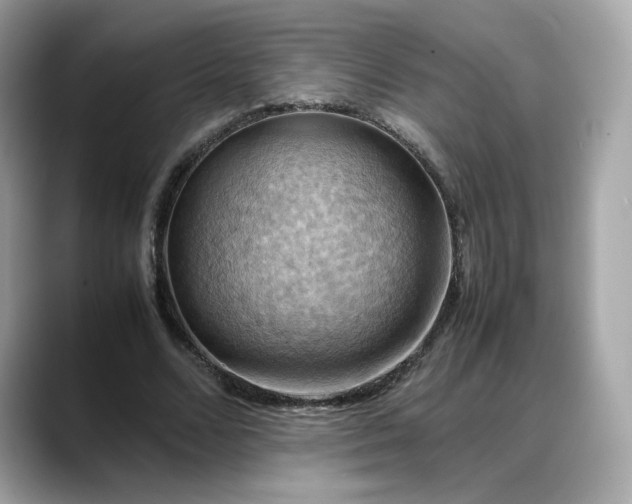 X0000088370680200706051042