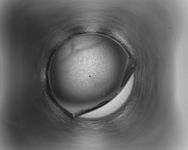 X0000088370681200706051042