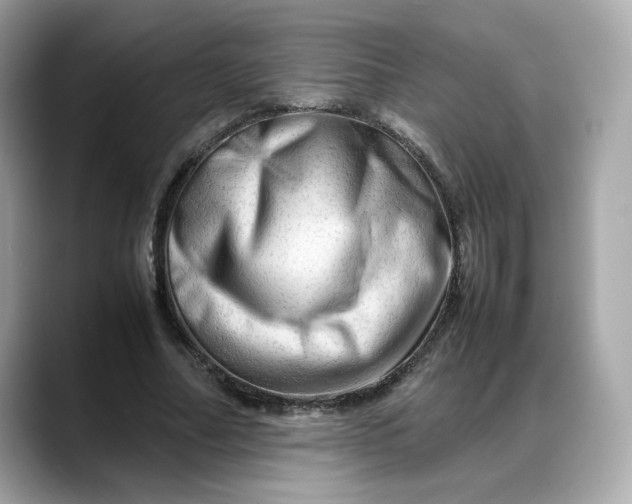 X0000088370682200706051042