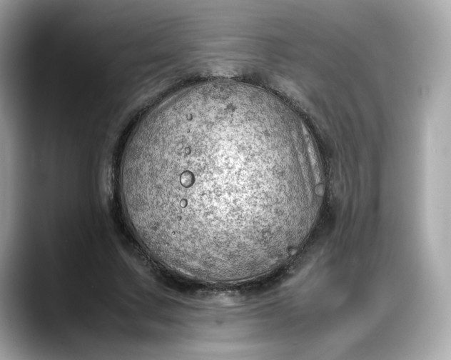X0000088370683200706051042