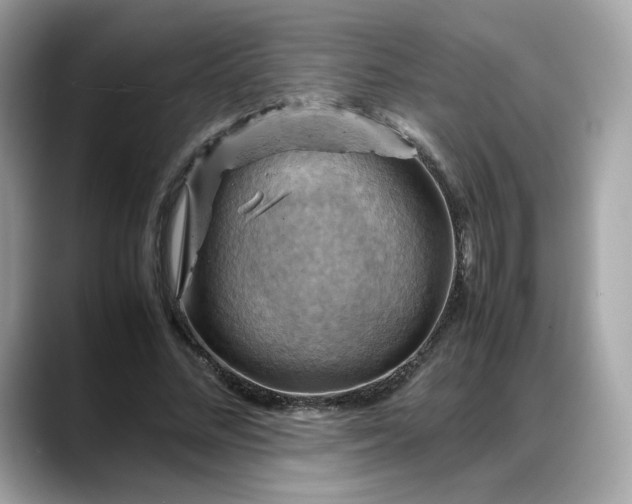 X0000088370684200706051042