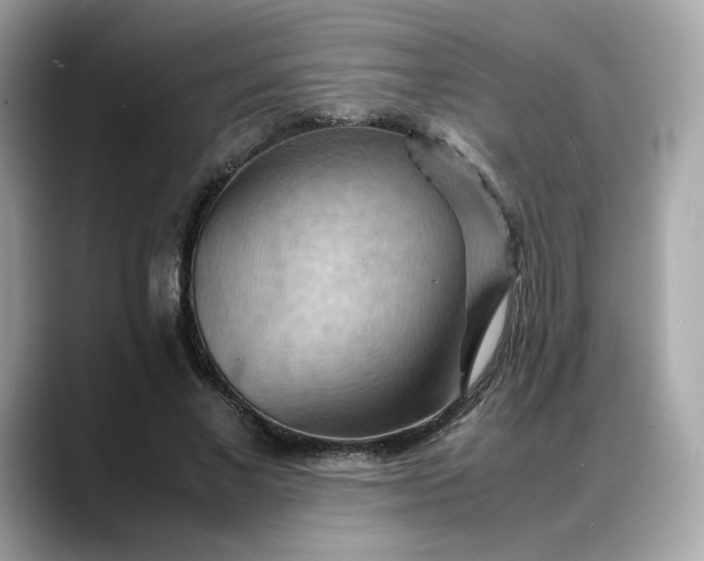 X0000088370685200706051042