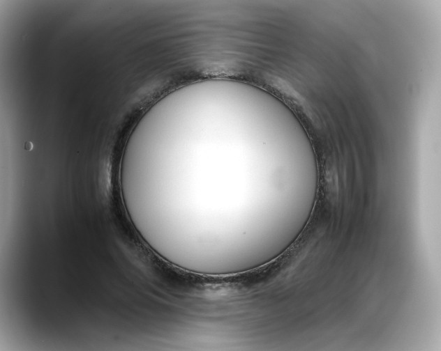 X0000088370686200706051042