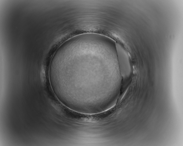 X0000088370688200706051042