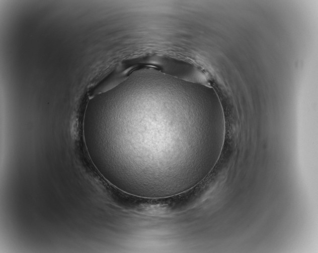 X0000088370689200706051042
