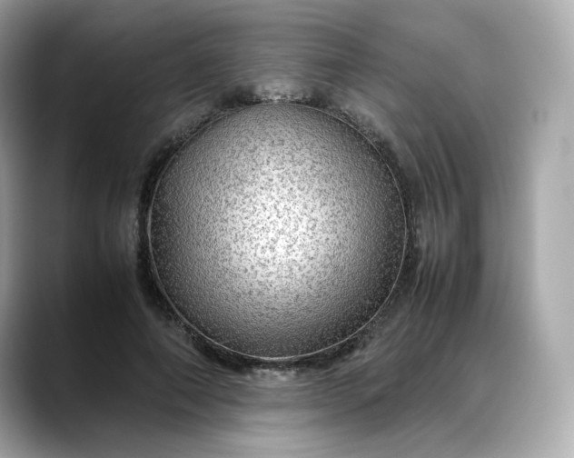 X0000088370690200706051042