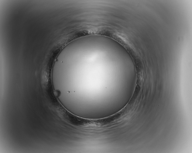 X0000088370691200706051042
