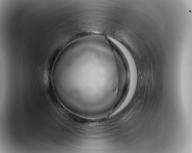 X0000088370692200706051042