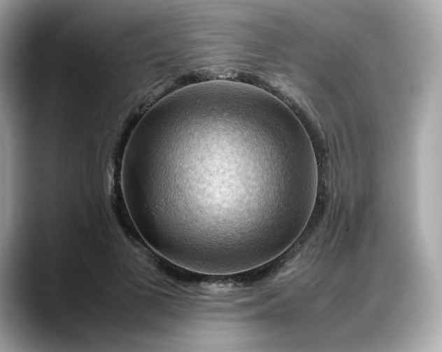 X0000088370693200706051041