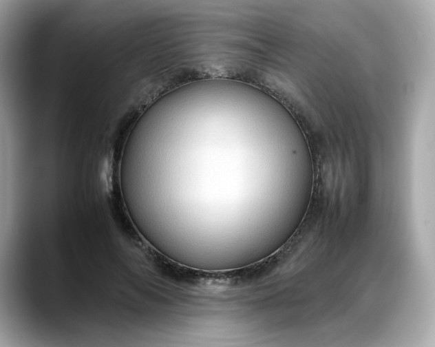 X0000088370694200706051041