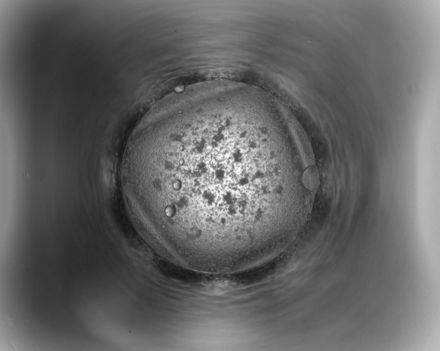 X0000088370695200706051041