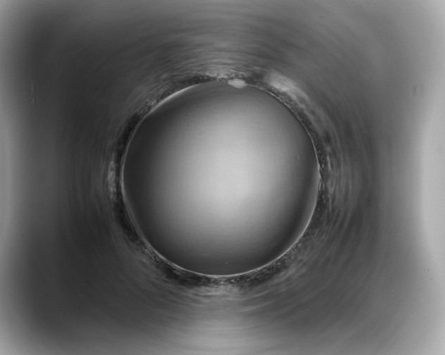 X0000088370696200706051041