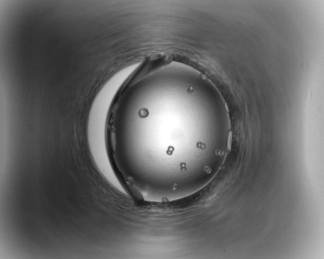 X0000088370697200706051041