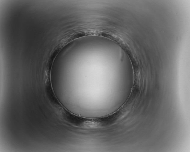 X0000088370699200706051041