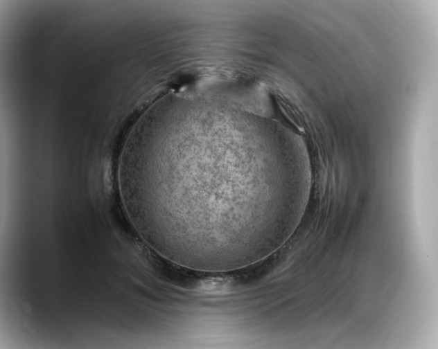 X0000088370700200706051041