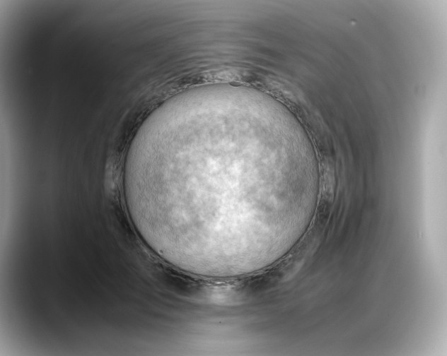 X0000088370701200706051041