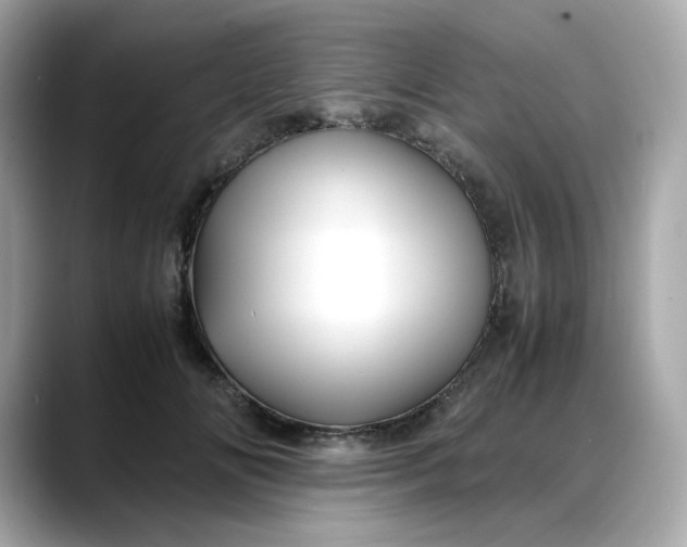 X0000088370702200706051041