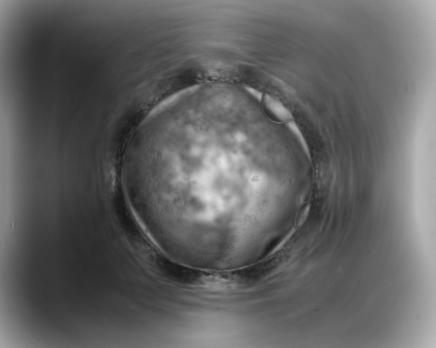 X0000088370703200706051041