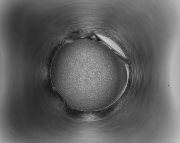 X0000088370704200706051041