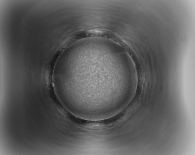 X0000088370708200706051041