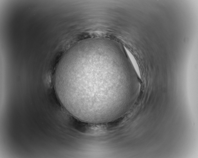 X0000088370709200706051041