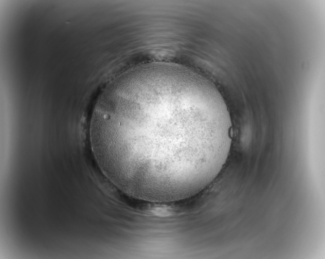 X0000088370710200706051041