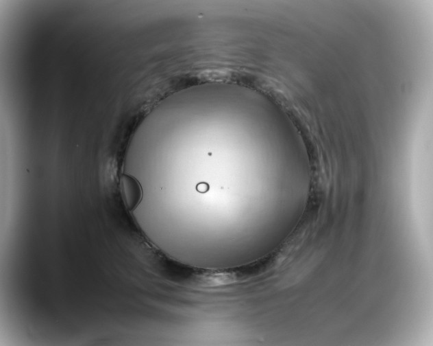 X0000088370711200706051041