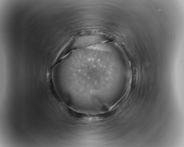 X0000088370712200706051041