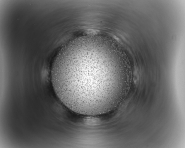 X0000088370714200706051041