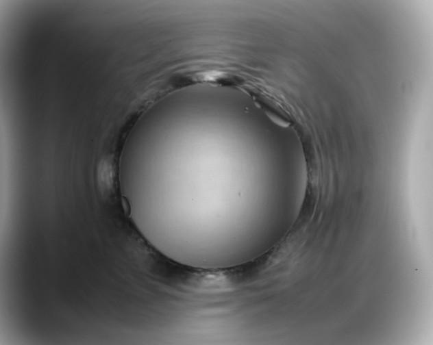 X0000088370715200706051041