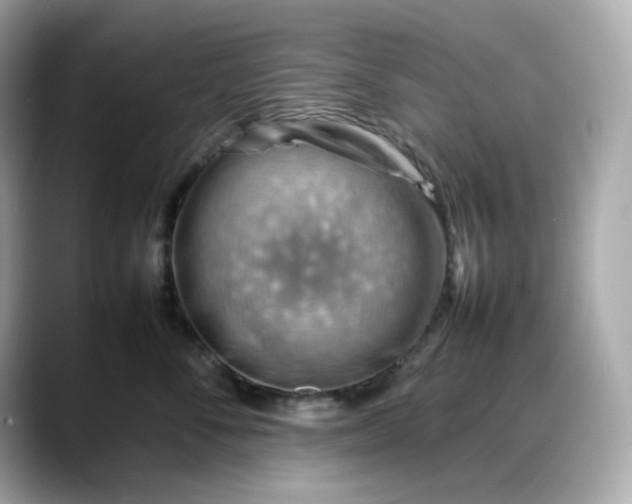 X0000088370716200706051041