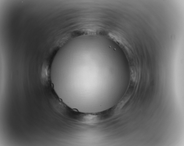 X0000088370718200706051041
