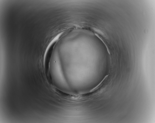 X0000088370720200706051041