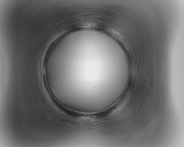 X0000088370721200706051041