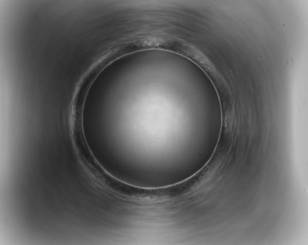 X0000088370722200706051041