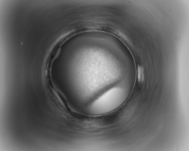 X0000088370723200706051041