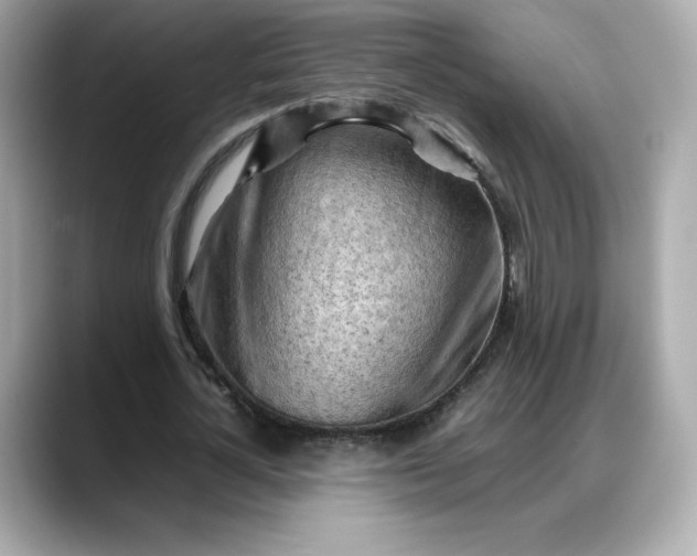 X0000088370724200706051041