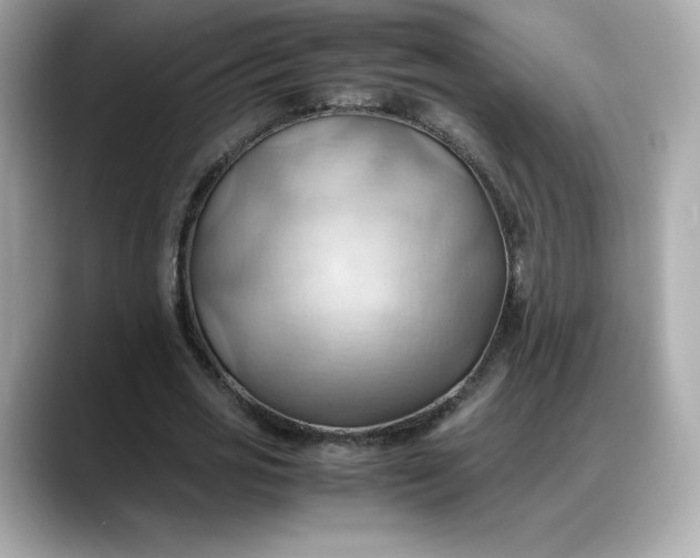 X0000088370725200706051041