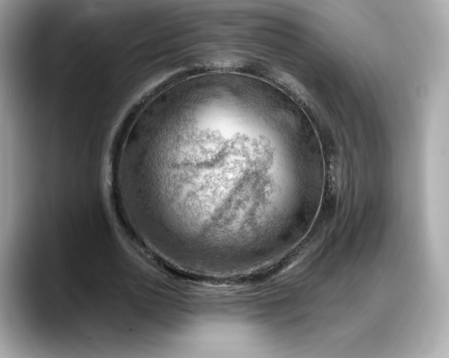 X0000088370726200706051041