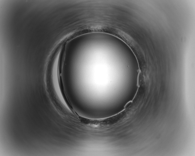 X0000088370728200706051041