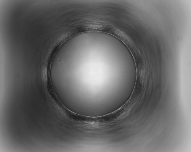 X0000088370729200706051041