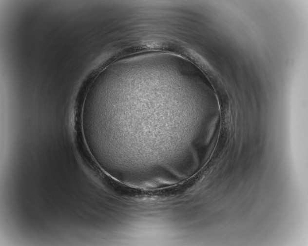 X0000088370730200706051041