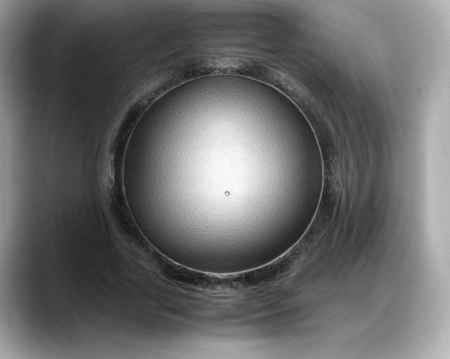 X0000088370731200706051041